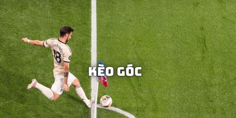 Kinh nghiệm soi kèo chuẩn xác từ cao thủ nên học hỏi