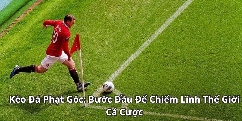 Tham khảo bí quyết soi kèo phạt góc chắc thắng